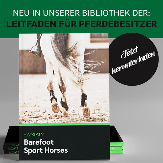 Ist Ihr Sportpferd bereit für das Barhuflaufen?