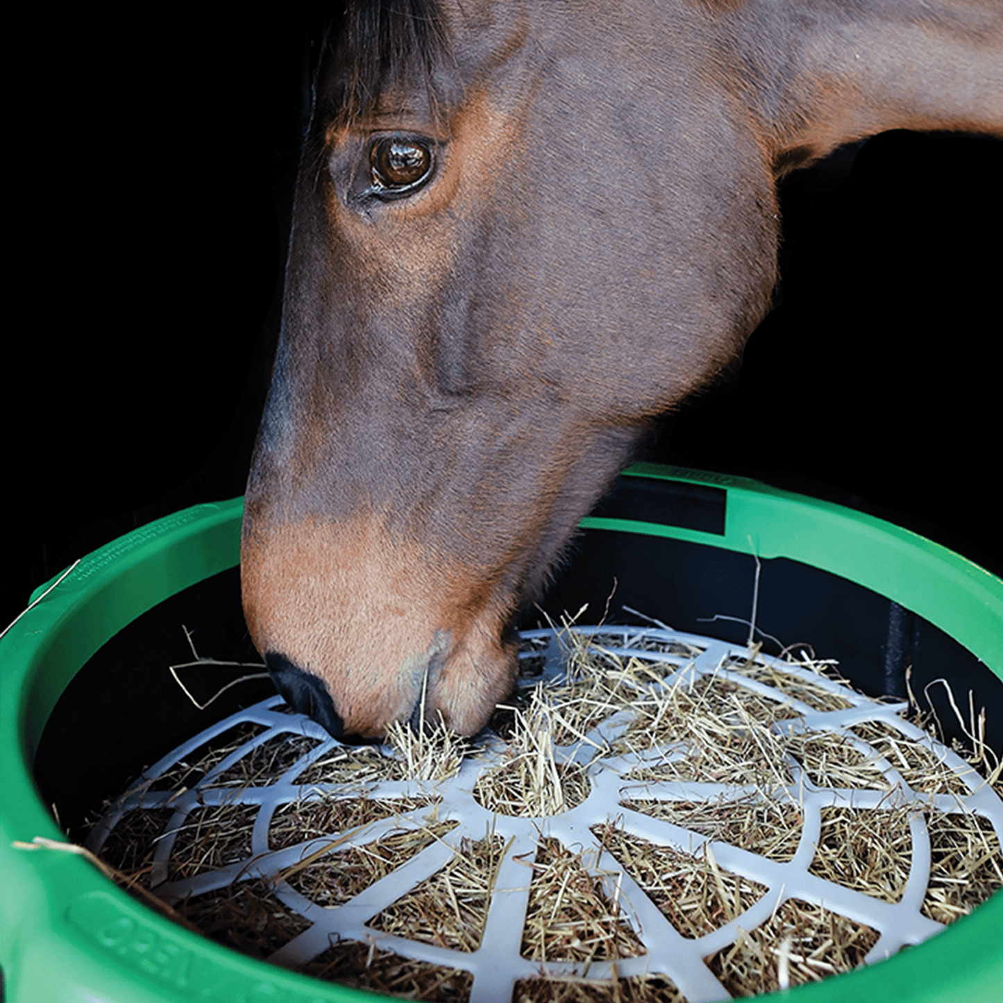 Der Haygain Forager
