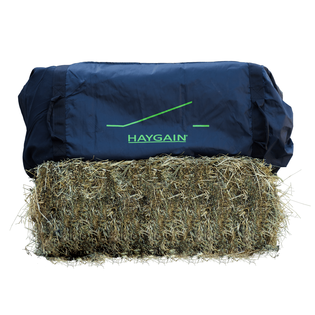 Haygain Heusack