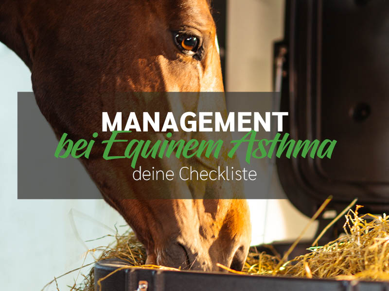Checkliste Haltung & Managment von Pferden mit Equinem Asthma