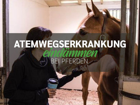 Atemwegserkrankung eindämmen