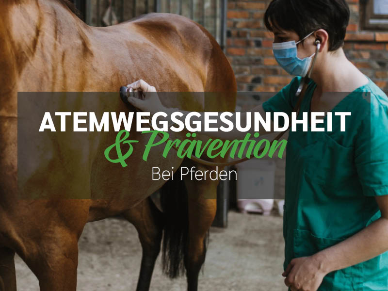 Atemwegsgesundheit & Prävention