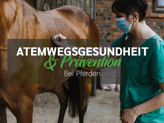 Atemwegsgesundheit & Prävention