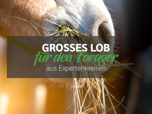 Großes Lob für den Forager aus Expertenkreisen.