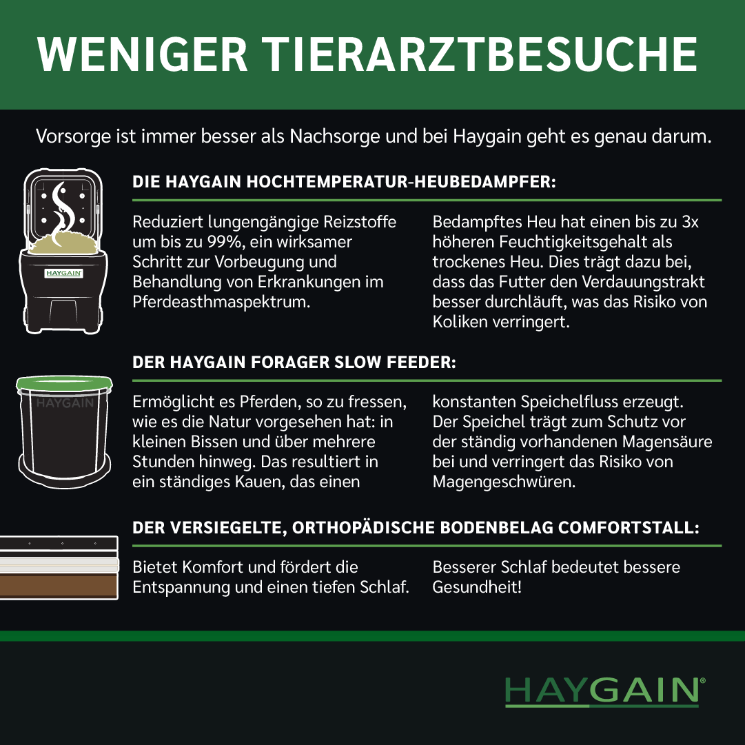 Wie Haygain helfen kann, die Kosten für die Pferdehaltung zu senken