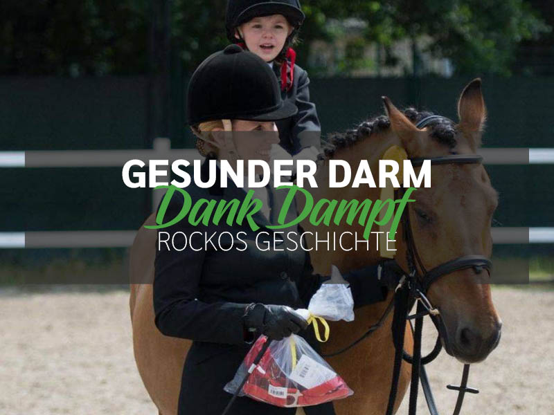 Rockos Geschichte