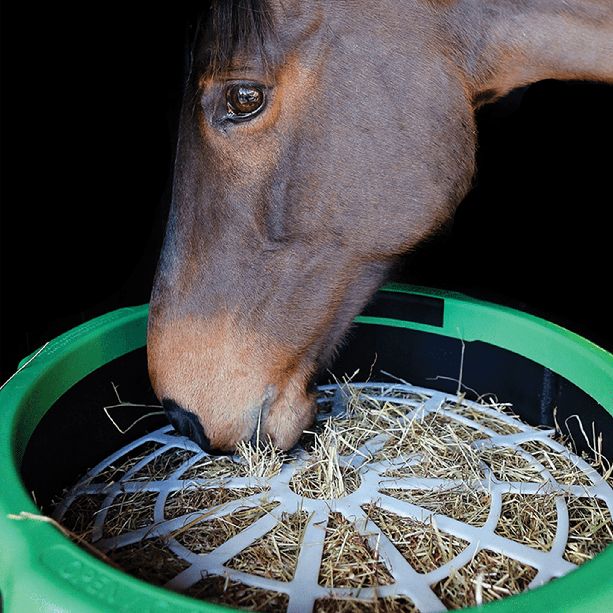 Der Haygain Forager